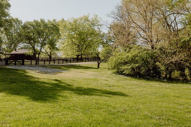 Battle at Belle Meade Civil War Tour & Complimentary Wine Tasting - A well-judged 45-minute length