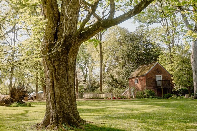 Belle Meade Guided Mansion Tour with Complimentary Wine Tasting - Is the $33 admission a good value?