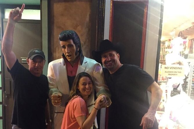 Nashville City Tour with Private Car - How the private car works for families and small groups