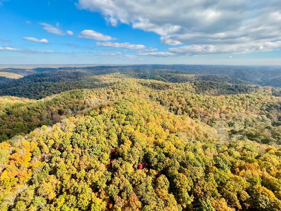 Nashville: River and Nature Tour - What the pilot adds to the flight
