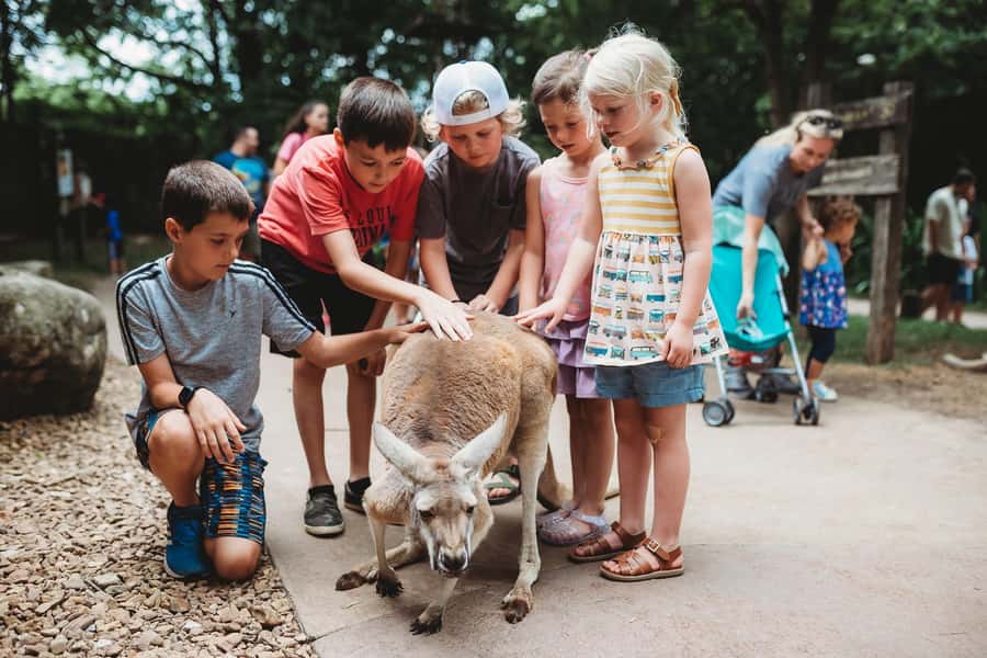 Nashville Zoo: Any-Day Admission Ticket - Bamboo Trail and smaller animals
