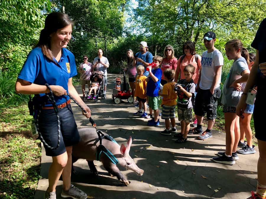 Nashville Zoo: Any-Day Admission Ticket - Family attractions beyond the animal exhibits