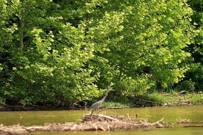 Small Group Clear Kayak Tour of Old Hickory Lake - Why the $69 price can make sense