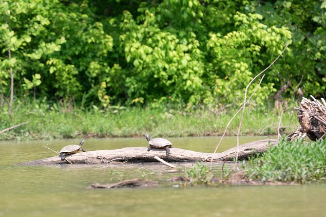 Small Group Clear Kayak Tour of Old Hickory Lake - Who will enjoy this lake outing most