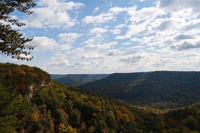 Tennessee Fall Colors Hiking Tour - Why this makes a good Nashville day trip